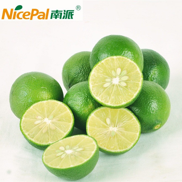 Natural Spray Dried Lime Fruit Powder / Lime Juice Powder / Lime Drink Powder