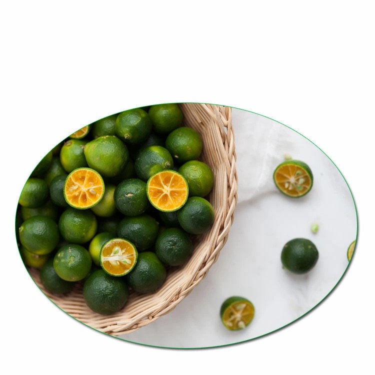 Natural Spray Dried Lime Fruit Powder / Lime Juice Powder / Lime Drink Powder