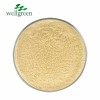 Sciencarin Natural Ginger Root Extract Gingerols 5% 20% Powder