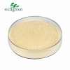 Sciencarin Natural Ginger Root Extract Gingerols 5% 20% Powder