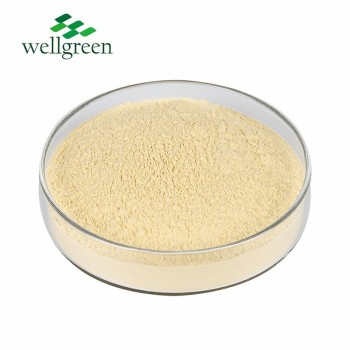 Sciencarin Natural Ginger Root Extract Gingerols 5% 20% Powder