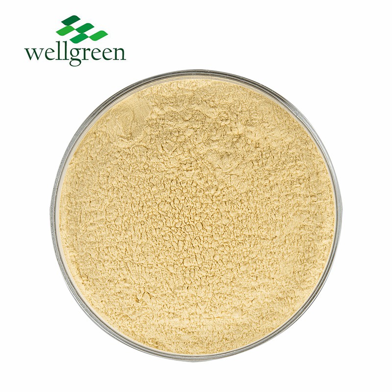 Sciencarin Natural Ginger Root Extract Gingerols 5% 20% Powder