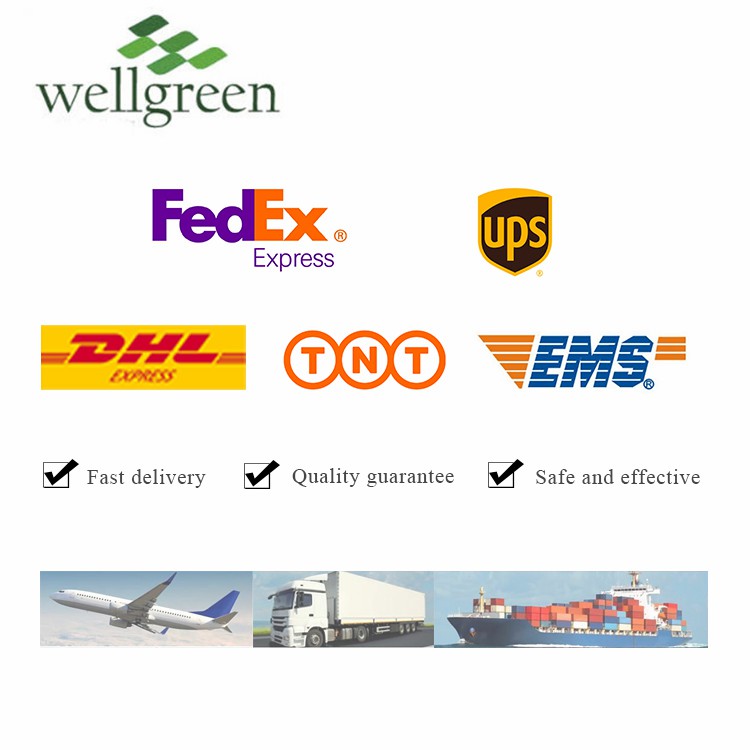 Sciencarin Natural Ginger Root Extract Gingerols 5% 20% Powder