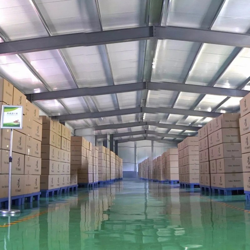 High Protein Fresh Grasshopper for Fish Feed