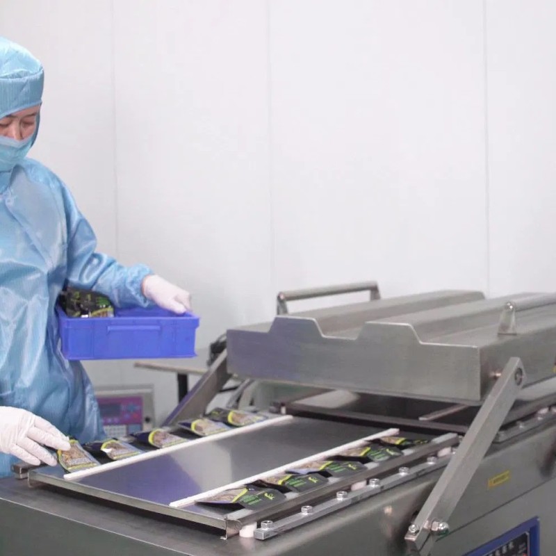 High Protein Fresh Grasshopper for Fish Feed