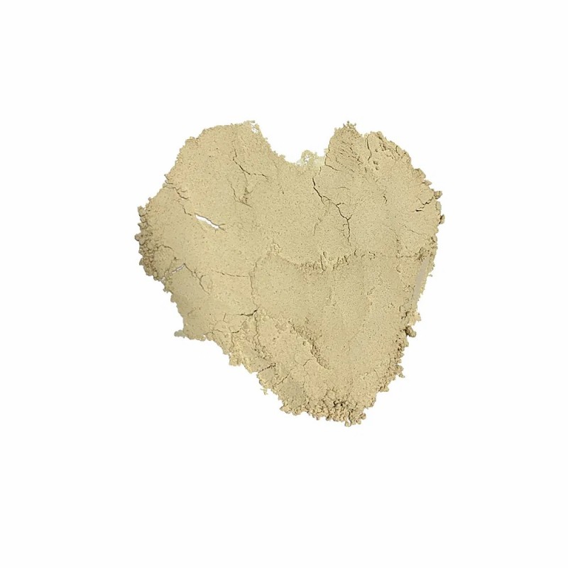 Top Grade Herbal Plant Shiitake Dried Shiitake Mushroom Powder