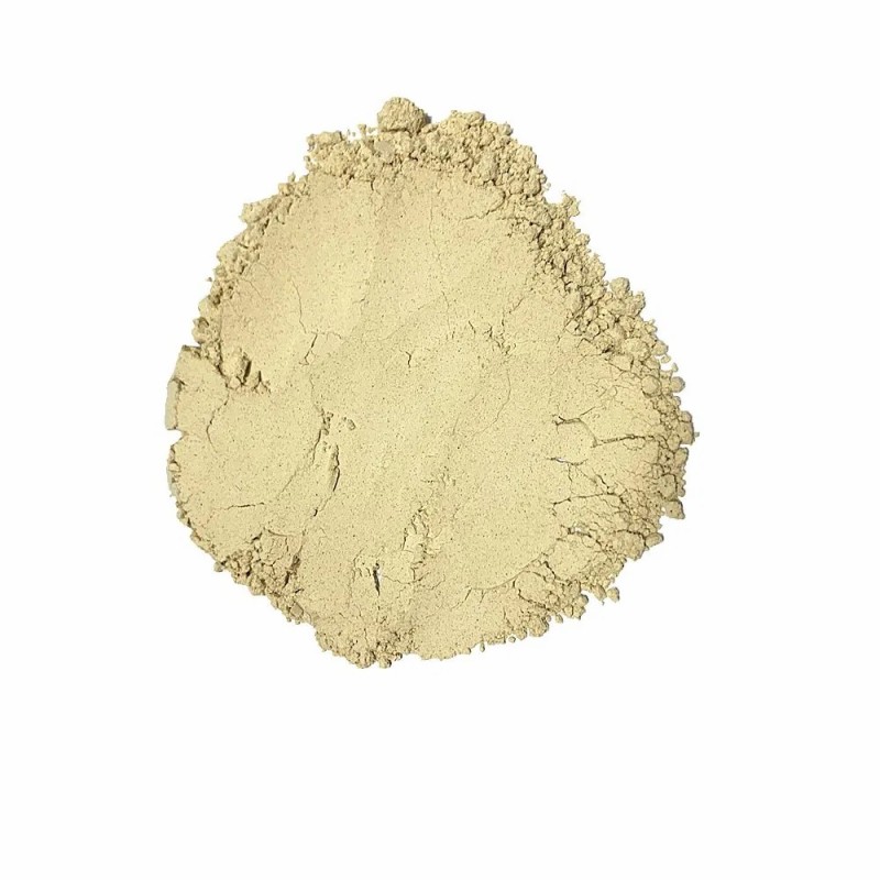 Top Grade Herbal Plant Shiitake Dried Shiitake Mushroom Powder