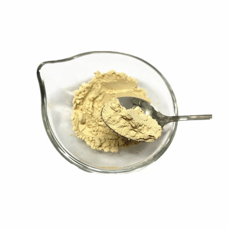 Top Grade Herbal Plant Shiitake Dried Shiitake Mushroom Powder