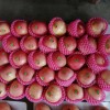 Class a Chinese FUJI Apple