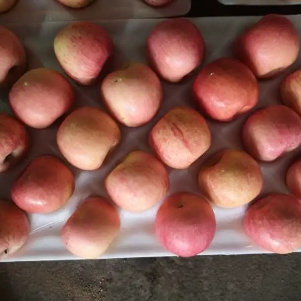 Class a Chinese FUJI Apple