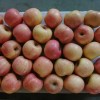Class a Chinese FUJI Apple