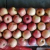 Class a Chinese FUJI Apple