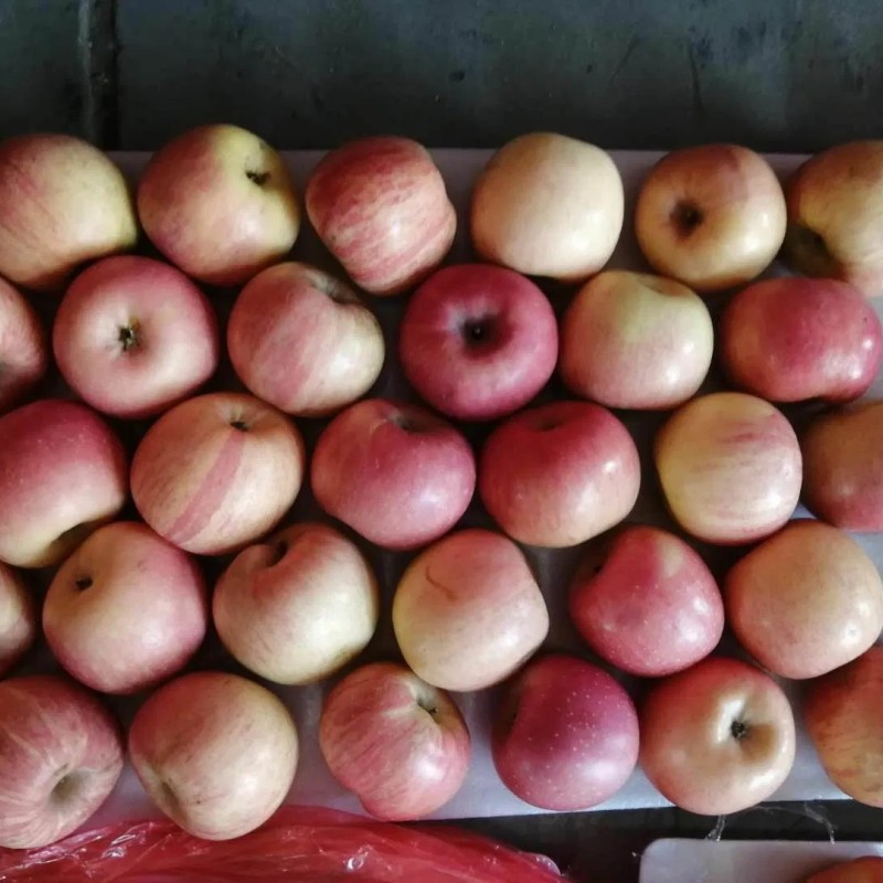 Class a Chinese FUJI Apple