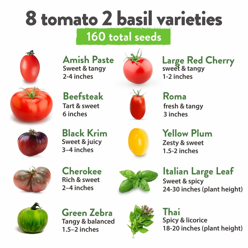 Home Grown Heirloom Non-GMO Tomato Seeds for Planting