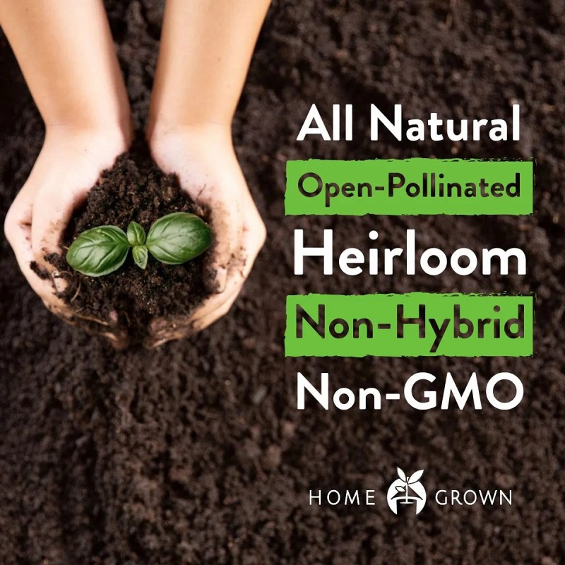 Home Grown Heirloom Non-GMO Tomato Seeds for Planting