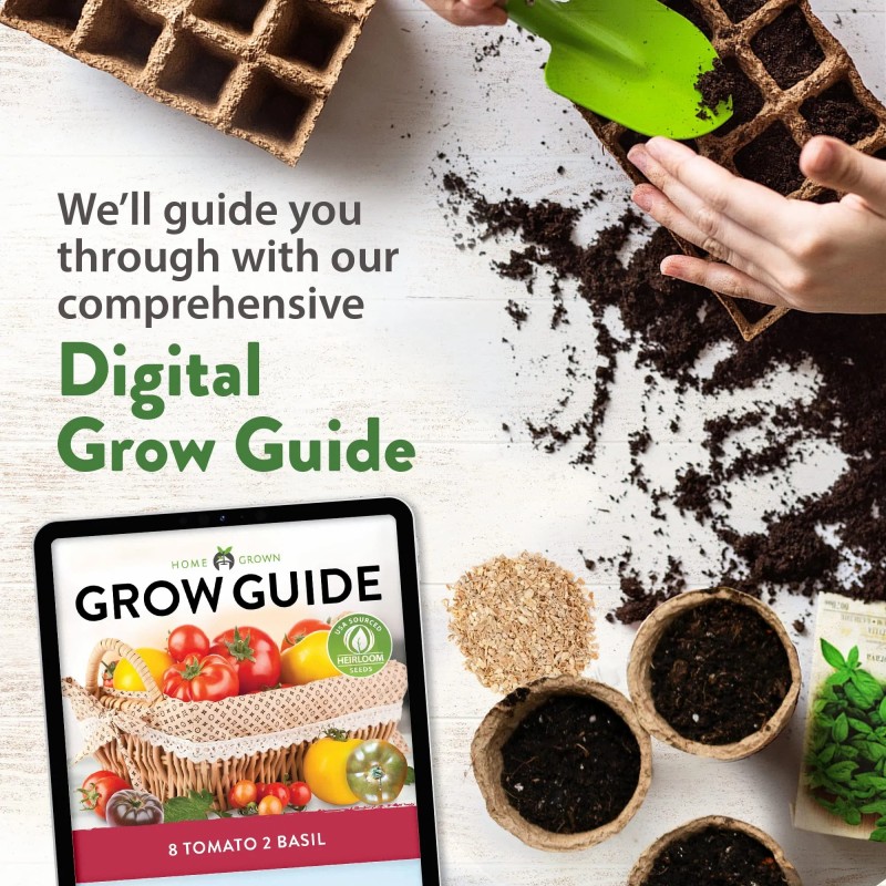 Home Grown Heirloom Non-GMO Tomato Seeds for Planting