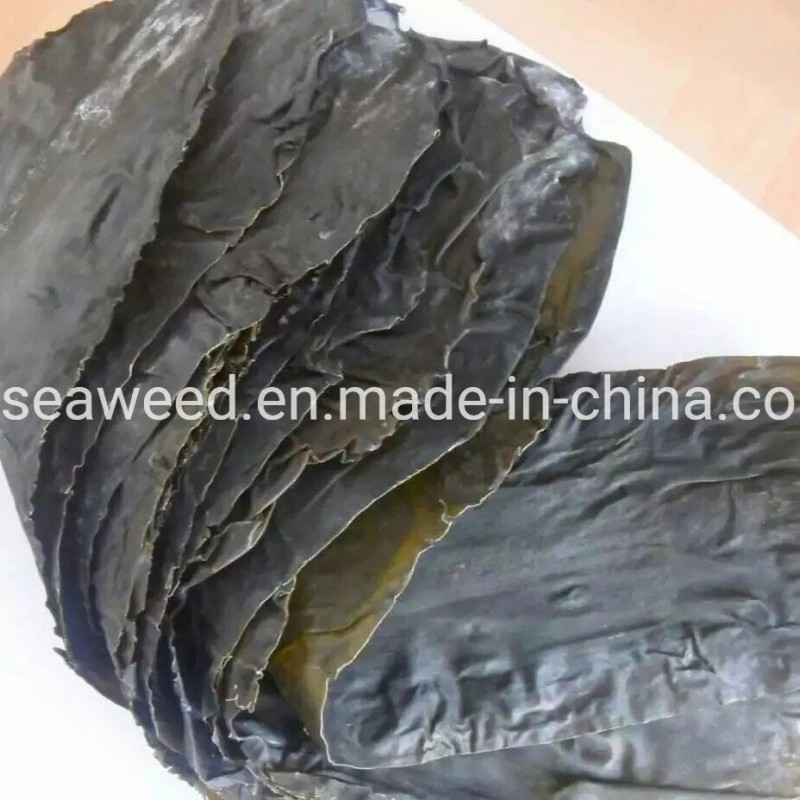 Factory Export Delicious Natural Dried Kombu Seaweed Sea Kelp