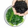 Hot Selling Meal Replacement Porridge Edible Seaweed Dried Wakame Leaves Cut