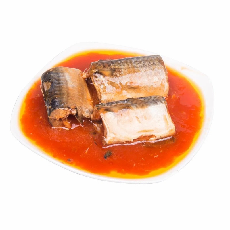 Canned Pacific Mackerel in Tomato Sauce Horse Mackerel Importers 155gx50tins Supplier