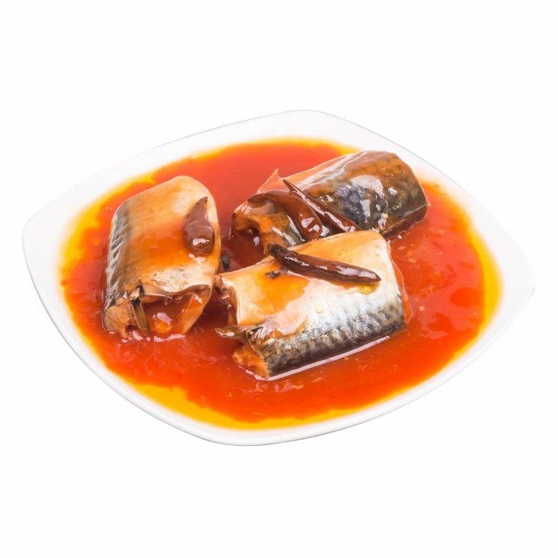 Canned Pacific Mackerel in Tomato Sauce Horse Mackerel Importers 155gx50tins Supplier