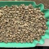 Yunnan Arabica Coffee Beans Size 16 Process 24 Months Shelf Life High Quality