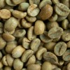 Yunnan Arabica Coffee Beans Size 16 Process 24 Months Shelf Life High Quality