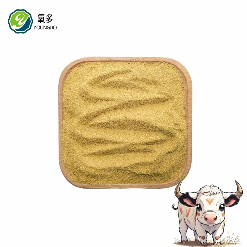 Solid Form Corn Gluten Feed 45% Protein