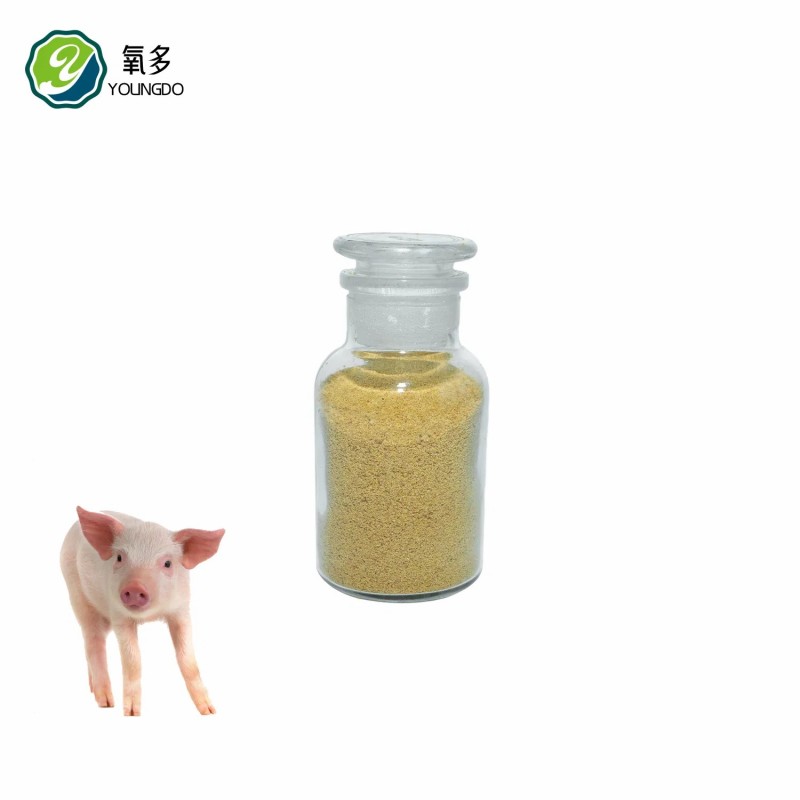 Solid Form Corn Gluten Feed 45% Protein