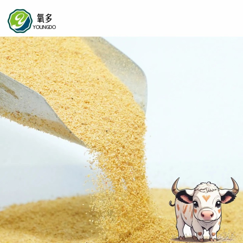 Solid Form Corn Gluten Feed 45% Protein