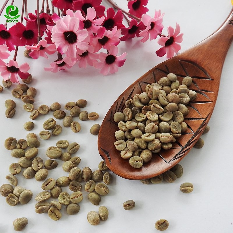 Wholesale Arabica Unroasted Coffee Beans Blend Coffee Beans for Good Food