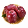 Fresh Apples Green Qinguan Royal Gala Australian Golden Direct Manufacturer From China