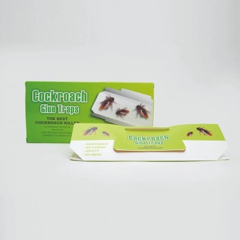 Disposable Non-Pollution Killing Cockroach Trap Glue Box Attractant Bait