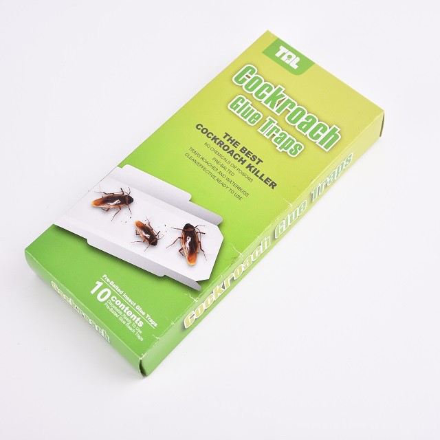 Disposable Non-Pollution Killing Cockroach Trap Glue Box Attractant Bait