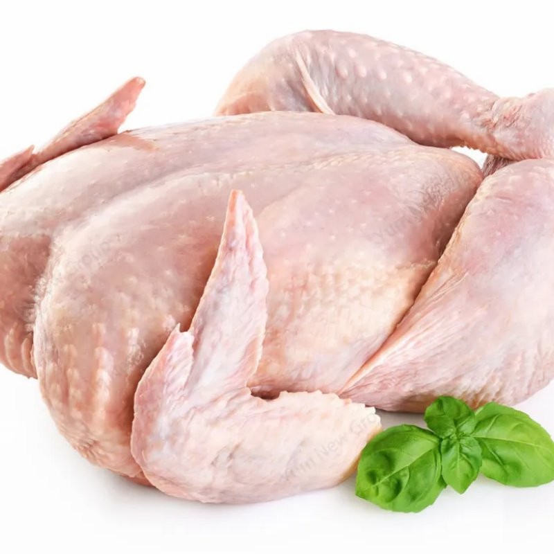 Premium Whole Frozen Chicken for Global Export Opportunities