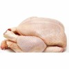 Premium Whole Frozen Chicken for Global Export Opportunities