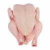 Premium Whole Frozen Chicken for Global Export Opportunities