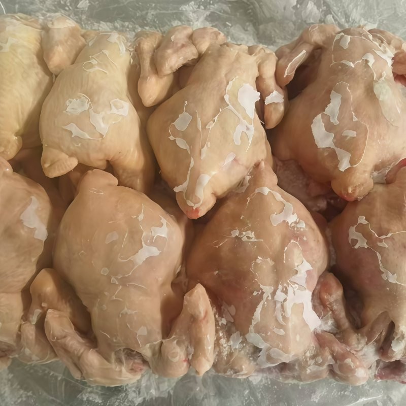 Premium Whole Frozen Chicken for Global Export Opportunities