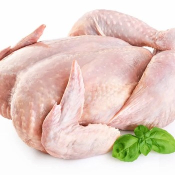 Premium Whole Frozen Chicken for Global Export Opportunities