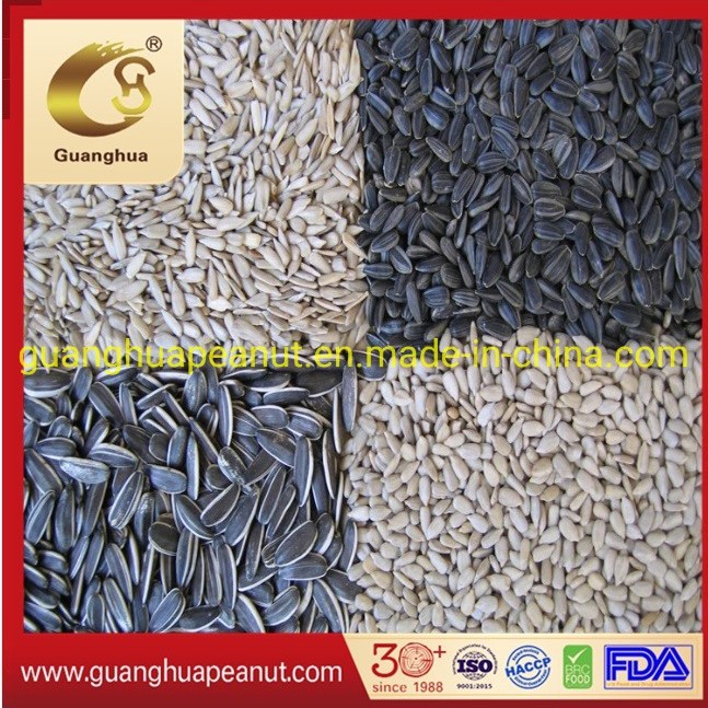 Wholesale Halal Certified Sunflower Seed Kernels