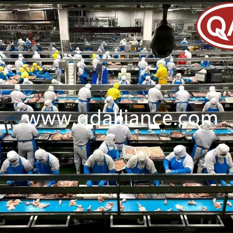 Tender Halal Chicken Thighs - Boneless & Skinless, Perfect for Resale