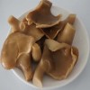 Canned Golden Abalone Mushroom in Brine