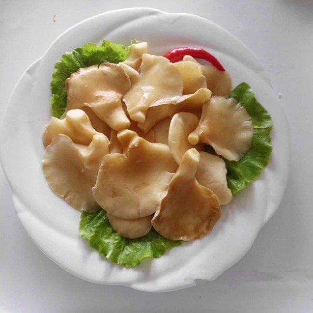 Canned Golden Abalone Mushroom in Brine