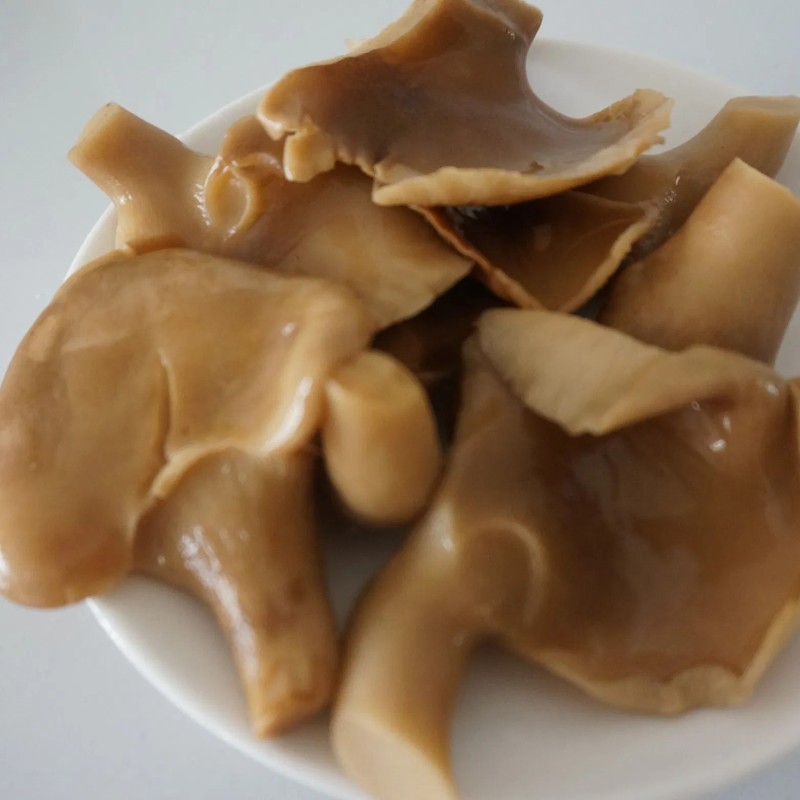 Canned Golden Abalone Mushroom in Brine