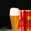 Top Quality Hot Selling Wholesale Chinese Traditional Beer Oasis Red Gift Box Packaged Craft Beer 1L * 4