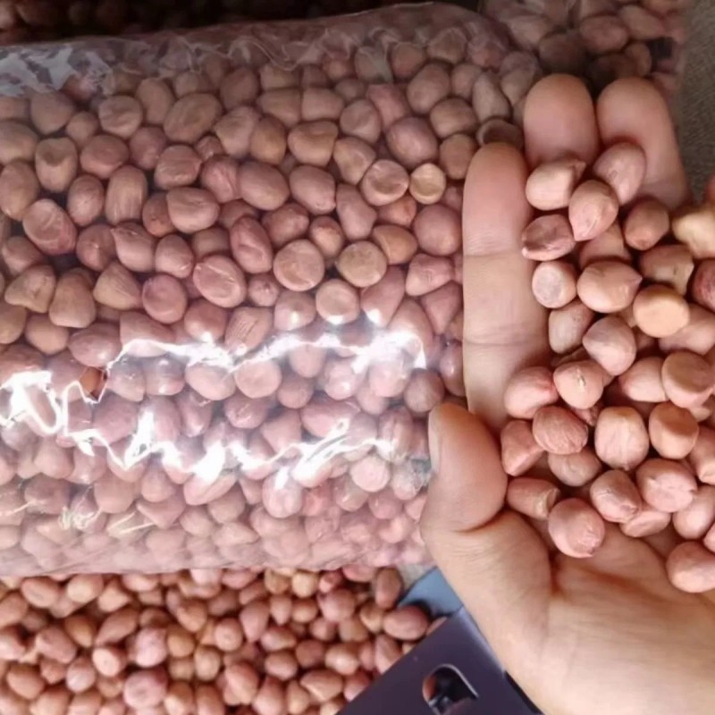 Blanched Peanut, Health Food, Baked Peanut, Wholesale Nuts and Kernels