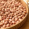 Blanched Peanut, Health Food, Baked Peanut, Wholesale Nuts and Kernels