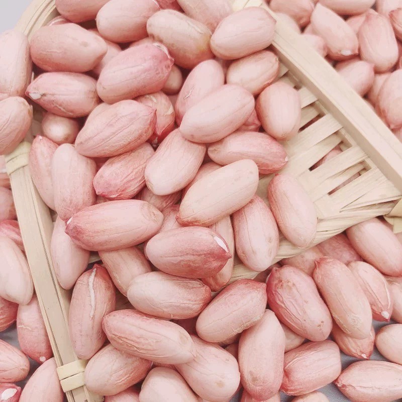 Blanched Peanut, Health Food, Baked Peanut, Wholesale Nuts and Kernels