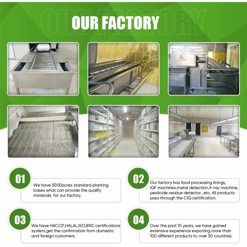 Wholesale Price IQF Green Soybeans Frozen Vegetables Soybeans Edamame in Shell Frozen Beans for Hotel for Super Marekt Qualify Supplier