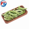 Wholesale Price IQF Green Soybeans Frozen Vegetables Soybeans Edamame in Shell Frozen Beans for Hotel for Super Marekt Qualify Supplier