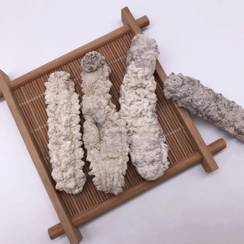 Factory Supply Seafood Dried Sea Cucumb Dry White Sea Cucumber
